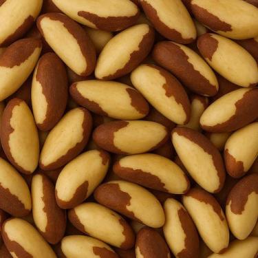Imagem de Castanha Media Do Para Qualidade Premium 100% Natural 100g - GRUPO ROC