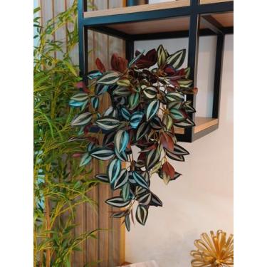 Imagem de Arranjo com vaso planta folhagem verde pendentes trepadeiras folhas ar