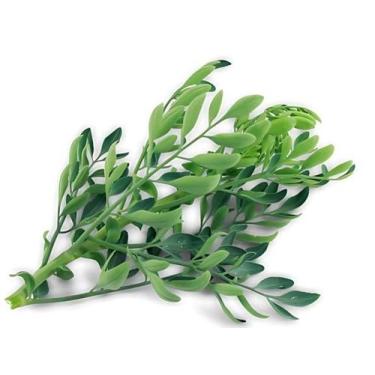 Imagem de Semente Hortaliça/Verdura/Especiaria monte seu kit personalizado - Alp