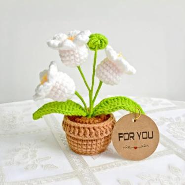Imagem de MAIQUNE Flores de crochê, vasos de plantas, presente de flores de lírio do vale para o dia das mães, aniversário, dia do professor, formatura, dia dos namorados, decoração para carro, home office