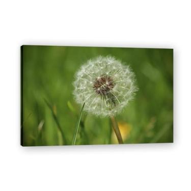 Imagem de Arte de parede pintura em tela dente-de-leão com sementes perdidas impressão de pôster para sala de estar quarto cozinha escritório 75 x 50 cm