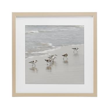 Imagem de Stupell Industries Impressão emoldurada Scurrying Sandpiper Birds Birch Under Glass por Natalie Carpentieri, 33 x 33