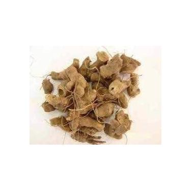 Imagem de Chá de Nó de Cachorro (Heteropteris afrodisiaca) Raiz Desidratada 100g