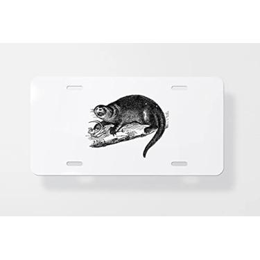 Imagem de North American River Otter or Lontra Canadensis Vintage Engravin Capa para placa de carro - Capa para placa de carro - Capa para placa de carro 15 x 30 cm