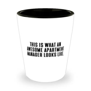 Imagem de Este é o que um gerente de apartamento incrível parece Vidro de shot, gerente de apartamento presente de amigos, copo de cerâmica útil para amigos