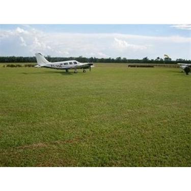 Imagem de Sementes de Grama Batatais 1 kg sementes - Realpecuaria