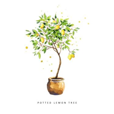 Imagem de Potted lemon tree Notebook: Notebook, Journal, Planner, Logbook, Daily Notes, 8.5x11 Wide Ruled Lined 110 Pages, Perfect for Women, Girls, Teens, Ladies, Bosses, Mentors and Friends