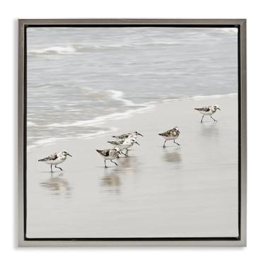 Imagem de Stupell Industries Design de arte de parede em tela flutuante cinza pássaros Sandpiper Scurrying por Natalie Carpentieri, 63 x 63 cm