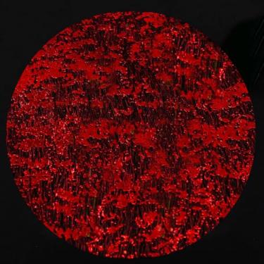 Imagem de YLUSUJAKX Jogo americano descartável vermelho conjunto de 100 pratos de carregador vermelhos, doilies metálicos de malha fina redonda de 33 cm com glitter prensado para decoração de mesa de jantar