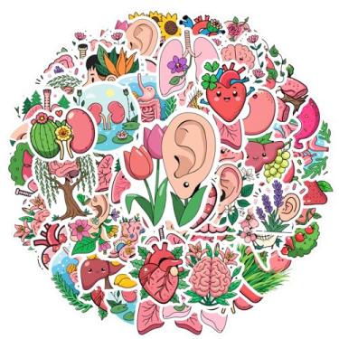 Imagem de 50 peças anatomia natureza floral coração humor professor recompensa adesivos cérebro para guitarra diy bicicleta skate laptop decoração mala geladeira telefone bagagem laptop guitarra carro