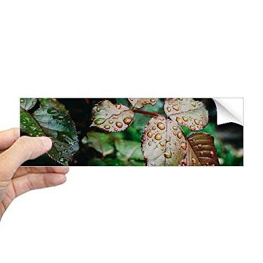 Imagem de DIYthinker Dewdrop Leaf Plant Nature Picture Retangular Bumper Adesivo Notebook Janela Decalque