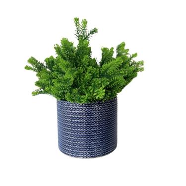 Imagem de Vaso Em Cerâmica Com Planta Basic Azul Strasbourg Elements 13x11cm