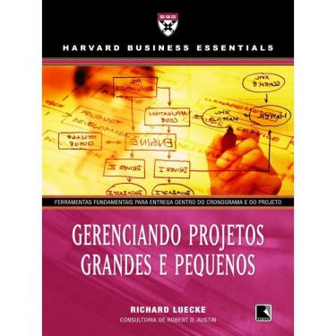 Imagem de Gerenciando Projetos Grandes E Pequenos
