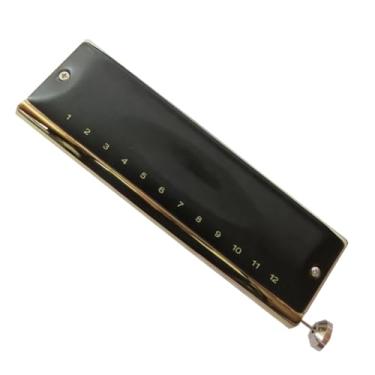 Imagem de Gaita cromática profissional de 12 furos com pente de cobre e material profissional de palheta de bronze fosforoso