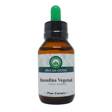 Imagem de Insulina Vegetal - Extrato 60ml (tintura Mãe)