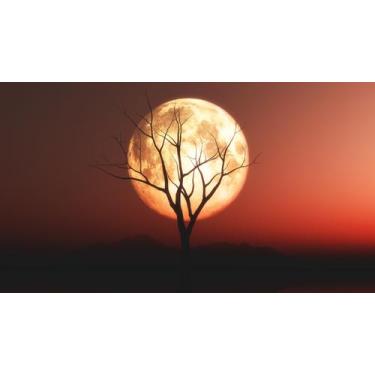Imagem de Adesivo Decorativo De Parede Paisagem Lua Na Árvore - Gaudesivos