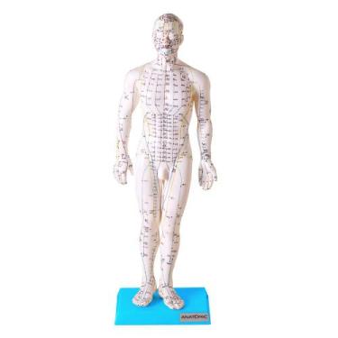 Imagem de Manequim Acupuntura Masculino 50 Cm - Anatomic