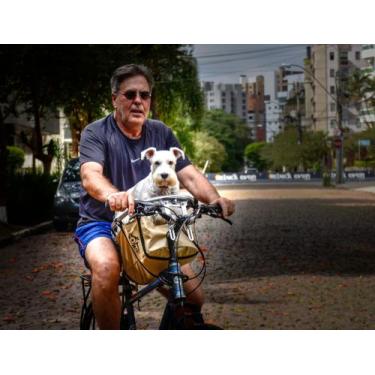 Imagem de Pet-Basket Zincado Simples Cesto Preto