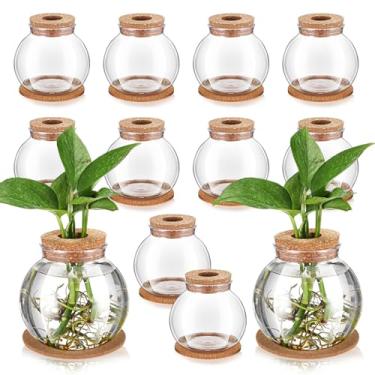 Imagem de Baderke 12 pacotes de vasos de propagação para plantas, estação de propagação de plantas de plástico com tampa de furo e porta-copos de cortiça que crescem em água hidropônica decoração de mesa de