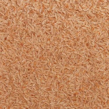 Imagem de Psyllium 100g  Fibra Natural, Textura Versátil e Perfeito para Incorpo