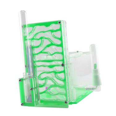 Imagem de Ｂｅｓｇａ de formigas com cesto de ração, caixa de criação de formigas para o dia crianças, amantes de casa, quarto, Verde