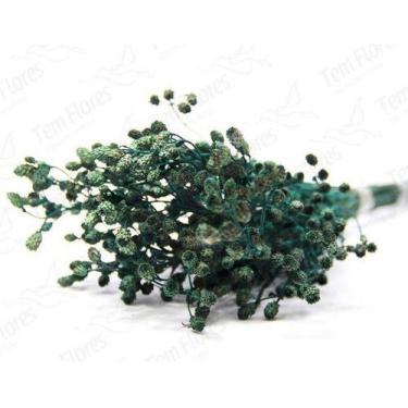Imagem de Ramo Roxo Verde Flor Desidratada Buque Flores Secas - Pense Flores