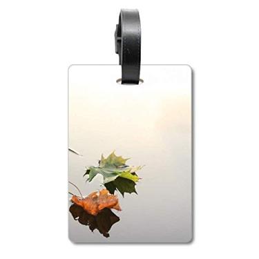 Imagem de Folhas caídas para plantas, água, natureza, mala, etiqueta, cartão de bagagem, etiqueta