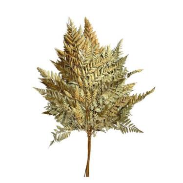 Imagem de Buque Avenca Avencão Natural Pequena Samambaia Desidratada - Inspira F