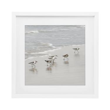Imagem de Stupell Industries Impressão emoldurada branca de pássaros sandpiper scurrying design sob vidro por Natalie Carpentieri, 40,6 x 40,6 cm