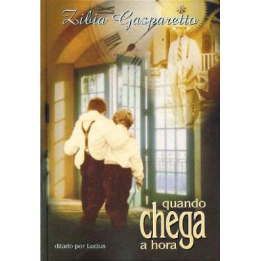 Imagem de Quando Chega a Hora - Romance de Zibia M. Gasparetto - VIDA E CONSCIEN
