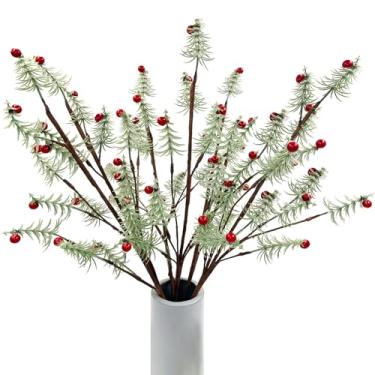 Imagem de SNAIL GARDEN 6 hastes foscas de pinheiro Norfolk com mini agulhas em forma de árvore de Natal, ramos de pinheiro norfolk de 56,9 cm com frutas vermelhas, hastes de Natal para decoração de árvore de