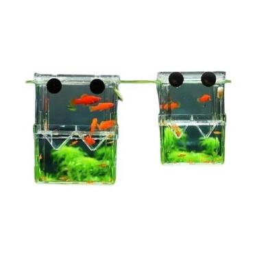 Imagem de Caixa De Criação De Peixes Transparente De Alta Clareza, Incubadora Du