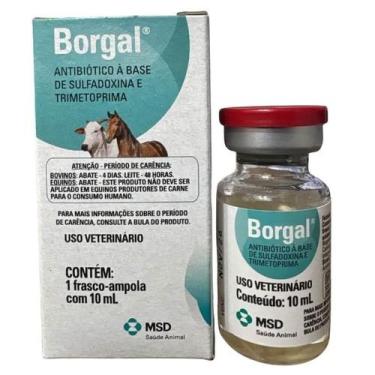 Imagem de Borgal 10ml msd