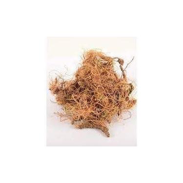 Imagem de Chá de Carapiá Raiz 100g - Dorstenia Multiformis - No-Brand