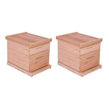 Imagem de Kit 2 Caixas Abelha Padrão Langstroth Eucalipto