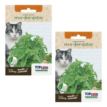 Imagem de 2x Sementes Erva Dos Gatos Nepeta Cataria Brinquedo Catnip - Topseed