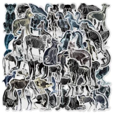 Imagem de Adesivos impermeáveis, raios-X, esqueletos, pretos e brancos, 50 unida