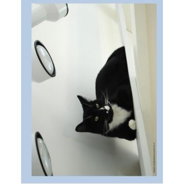 Imagem de Livro em branco de gato do andar de cima forrado 21,5 por 28,5 por 27,9 cm livro em branco pautado com 100 páginas adequado como um diário, caderno ou diário com uma foto de capa de uma leucemia felina. (O retiro de Ralphie)