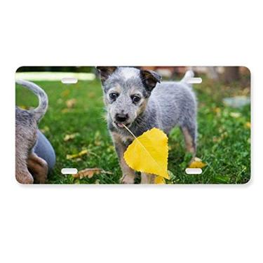 Imagem de DIYthinker Lindo filhote de cachorro fotografia foto placa de licença decoração aço inoxidável automóvel