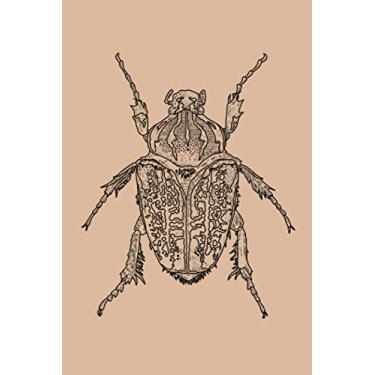 Imagem de Goliath Beetle: Dot Grid Journal Notebook (6x9 inches) with 120 Pages