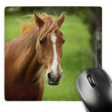 Imagem de 3dRose Mouse pad LLC 20 x 20 x 0,63 cm, Horse Cades Cove Great Smoky Mountains Np Tn Adam Jones (mp_94325_1)