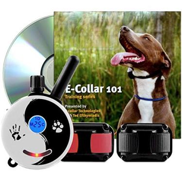 Imagem de Educator Zen-302-TV Bundle: Zen Two Dog Mini Coleira de Treinamento Remoto de Cachorro 1/2 Mile Plus 101 Off Leash 4 Sessions Dog Training DVD