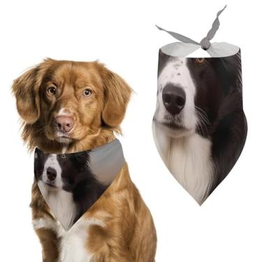 Imagem de Cachecol Border Collie impresso para animais de estimação cachecol triangular de poliéster - tamanho único (70 x 30 cm)