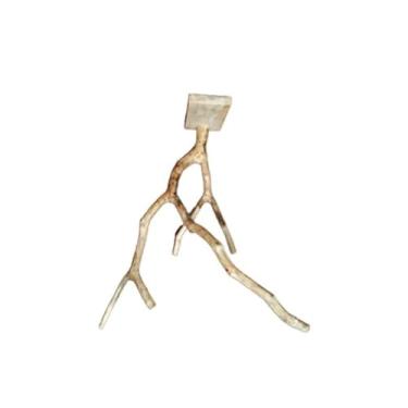 Imagem de Poleiro para calopsitas papagaios periquitos agapornis e outros pássaros suporte para gaiola e parede