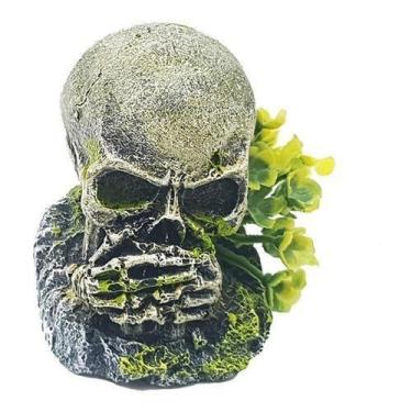 Imagem de Enfeite Crânio Não Falo - D24 - Aquária - Aquaria