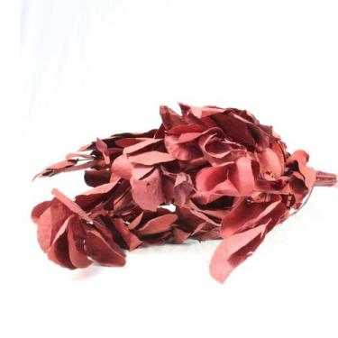 Imagem de Eucalipto Vermelho Desidratado p/ Decoração - Pense Flores