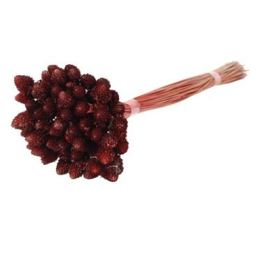 Imagem de Botão Pimentinha Vermelho Flores Secas P/ Decoração - Pense Flores