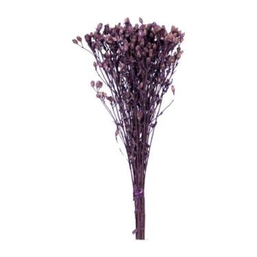 Imagem de Chuvisco Roxo Desidratado - Pense Flores