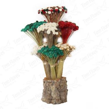 Imagem de Arranjo Pendão Artesanal Desidratado Flores Secas - Natural Colorida A