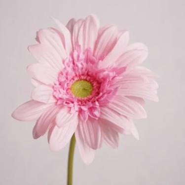 Imagem de peças de flores artificiais hidratantes de gerbera com toque real, decoração para casamento, buquê de noiva, festa, decoração floral para casa, girassol (gerbera rosa)